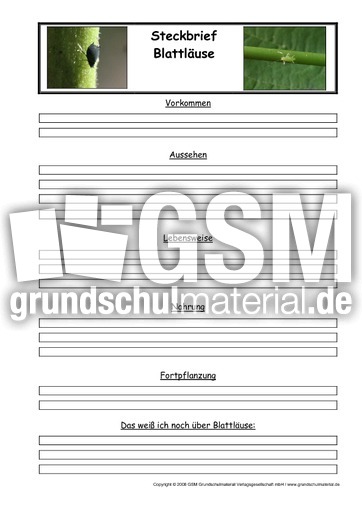 Blattläuse-Steckbriefvorlage.pdf